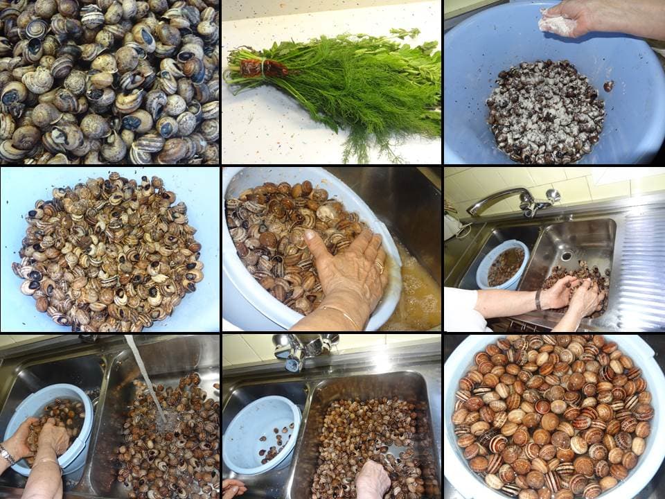 Caracoles