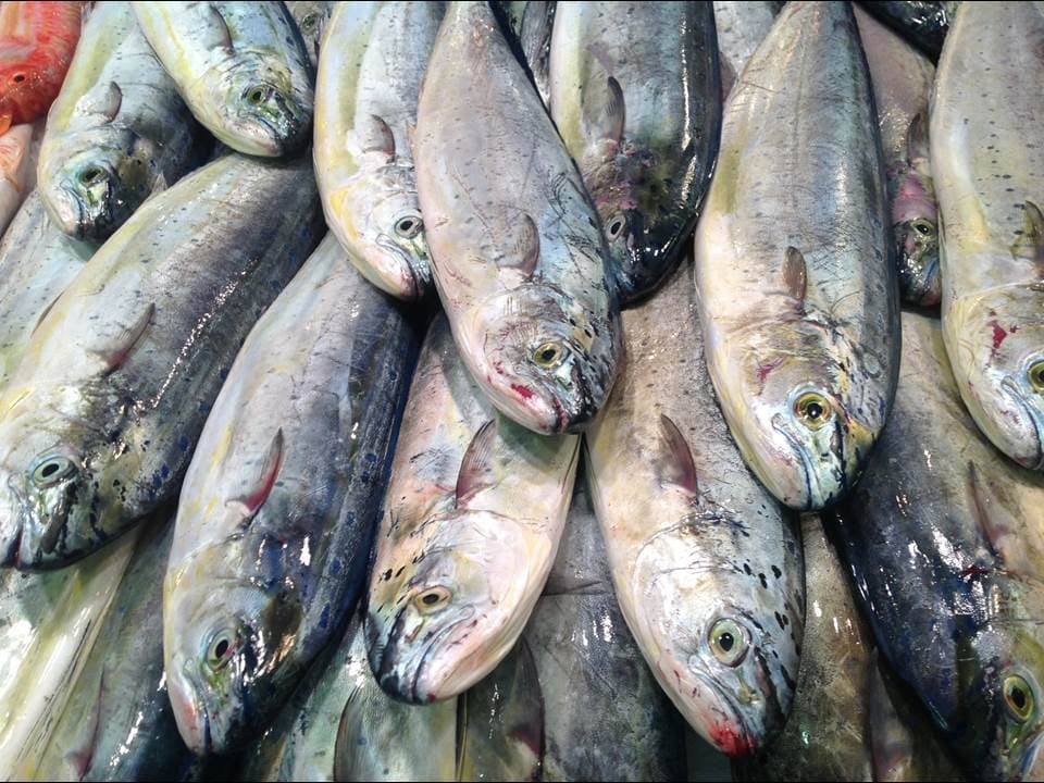 Llampuga con pimientos