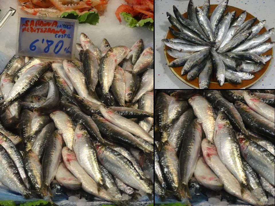 Sardinas en aceite